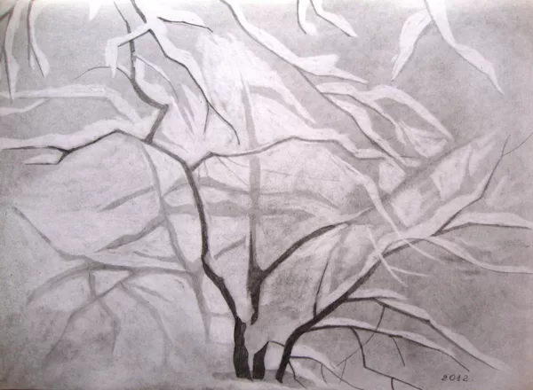 " Ķirsītis" p./zīm., 2012.g.