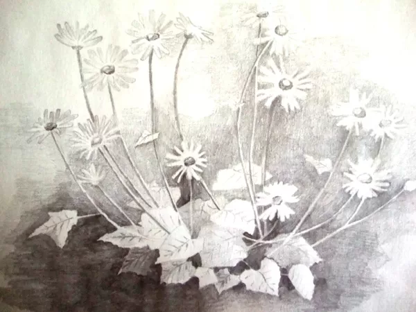 "Pļavā" p./zīm., 2010.g.