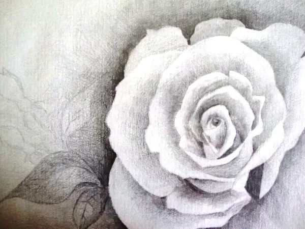 "Roze" p./zīm.,2001.g.