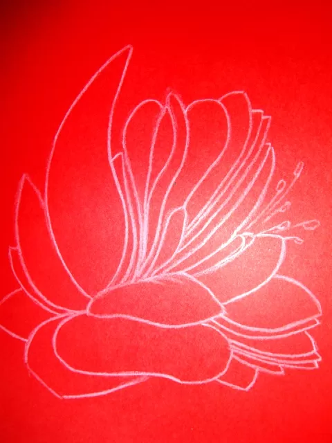 1996.g.